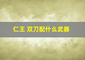 仁王 双刀配什么武器